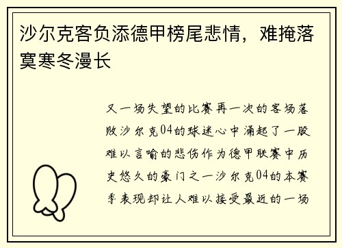 沙尔克客负添德甲榜尾悲情，难掩落寞寒冬漫长