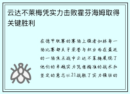云达不莱梅凭实力击败霍芬海姆取得关键胜利