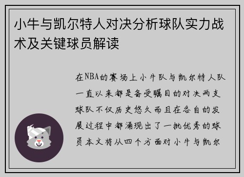 小牛与凯尔特人对决分析球队实力战术及关键球员解读