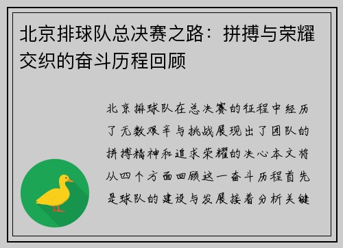 北京排球队总决赛之路：拼搏与荣耀交织的奋斗历程回顾